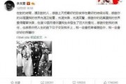 娱乐吃瓜打人事件,明星打人风波引发热议